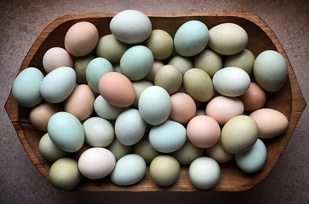 Huevos Araucanía Exclusivos