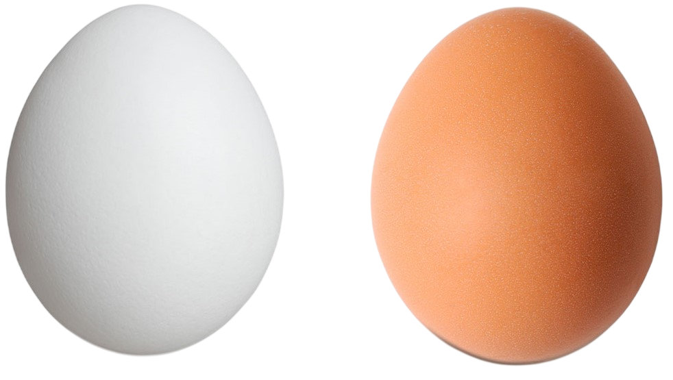 Huevo Jumbo